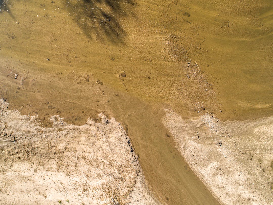 an aerial view of a dirt field with a tree