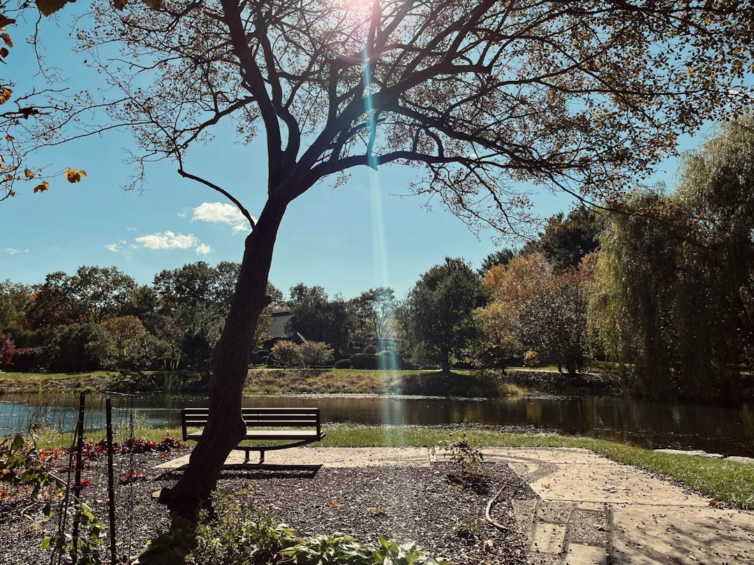 a park bench sitting next to a lake