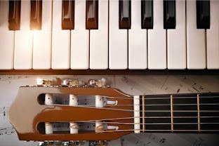 BLUE GUITAR ZONE - Online Music Lessons